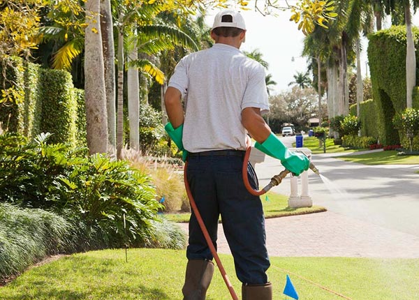 About White Oak NC Pest Control